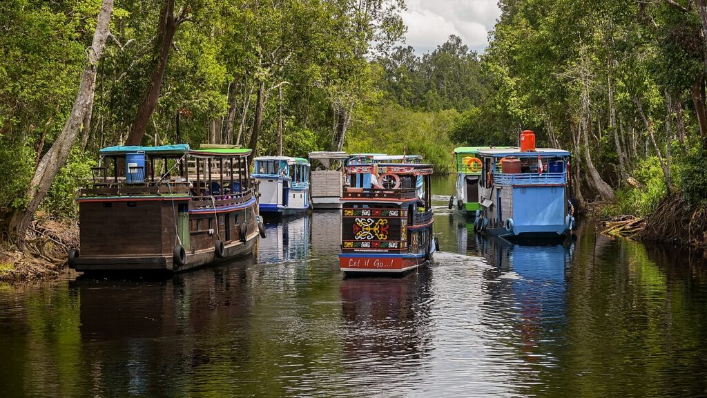 Tanjung Puting National Park in Central Kalimantan