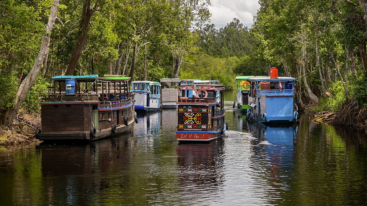 Tanjung Puting National Park in Central Kalimantan